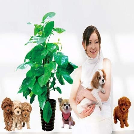 Fun Plant Pot Ball Flower Basket Fence Dog Tree Wall Sticker Ay7112