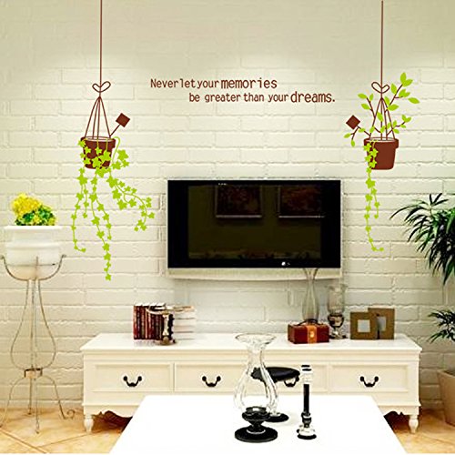 SYGA DIY Modern Home Decor Hanging Pot Wall Stickers Decals Design  size 60x90 jm8331