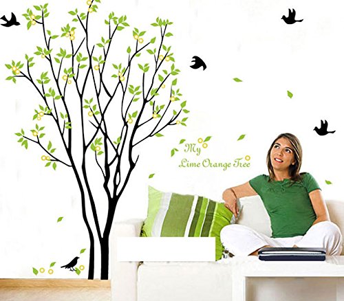 Tree Birds Wall Stickers Green Wall Sticker size 60x90 ay9094