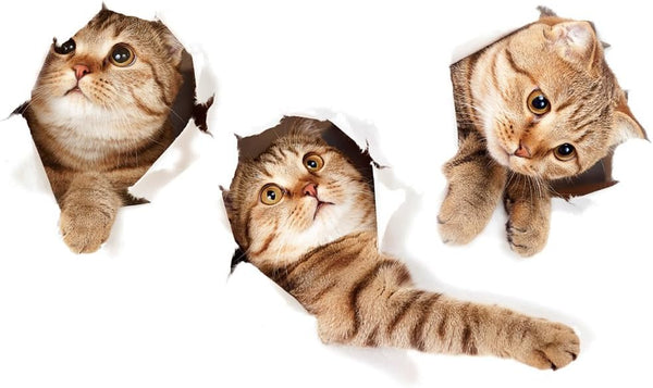 XH6215 3D Stickers Animals Large Cat Stickers Wall Cute Cat Wallpaper Art Decoration for Bedroom, Nursery, Toilet, Kitchen, Living Room, Boys and Girls