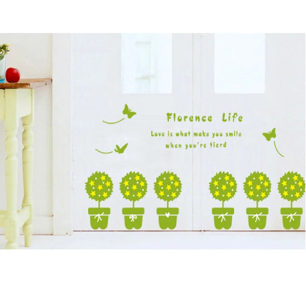 Ay7144 PVC Decorations with Novel Transparent Plant Designs for Living Rooms