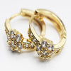 Elegant Luxury Jewelry Women Hoop Earrings Gold Flower Earrings Unique Design Circle Ear Rings For Lady egfrgdb3l-b