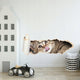 Sticky Image