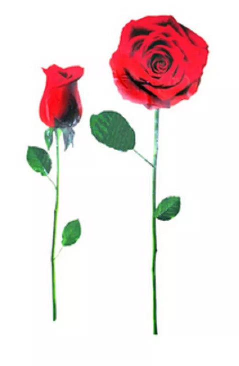 RED ROSE WALL DECAL REMOVABLE 24