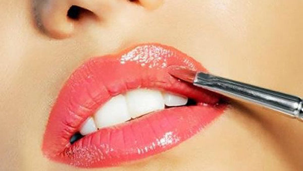Lipstick and Concealer Brush